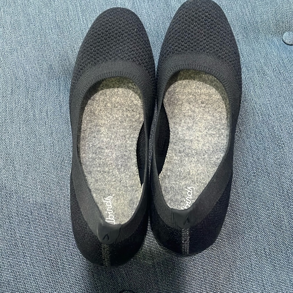 Allbirds flats navy